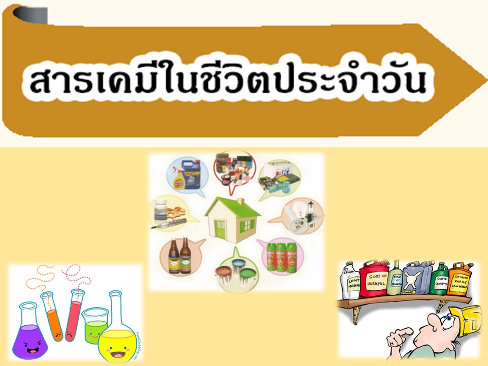 สารเคมีในชีวิตประจำวัน ภาคเรียนที่ 1